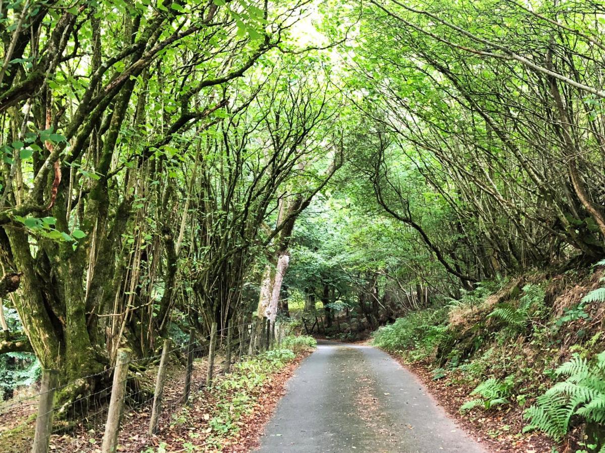 Holiday home Drovers Retreat Llandrindod Wells