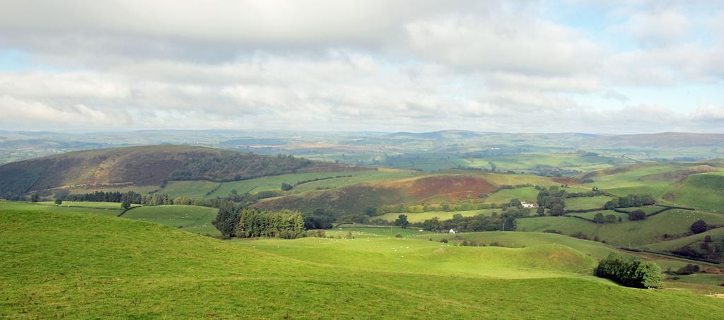 Drovers Retreat * Llandrindod Wells