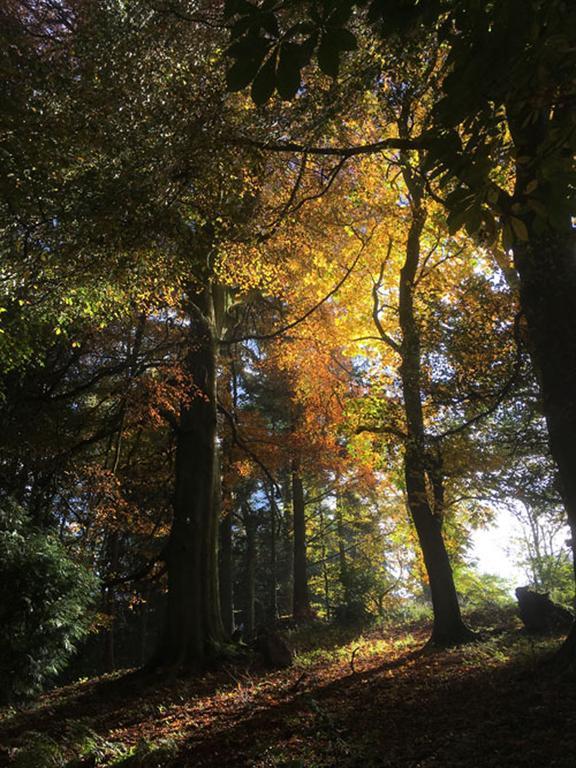 Drovers Retreat * Llandrindod Wells